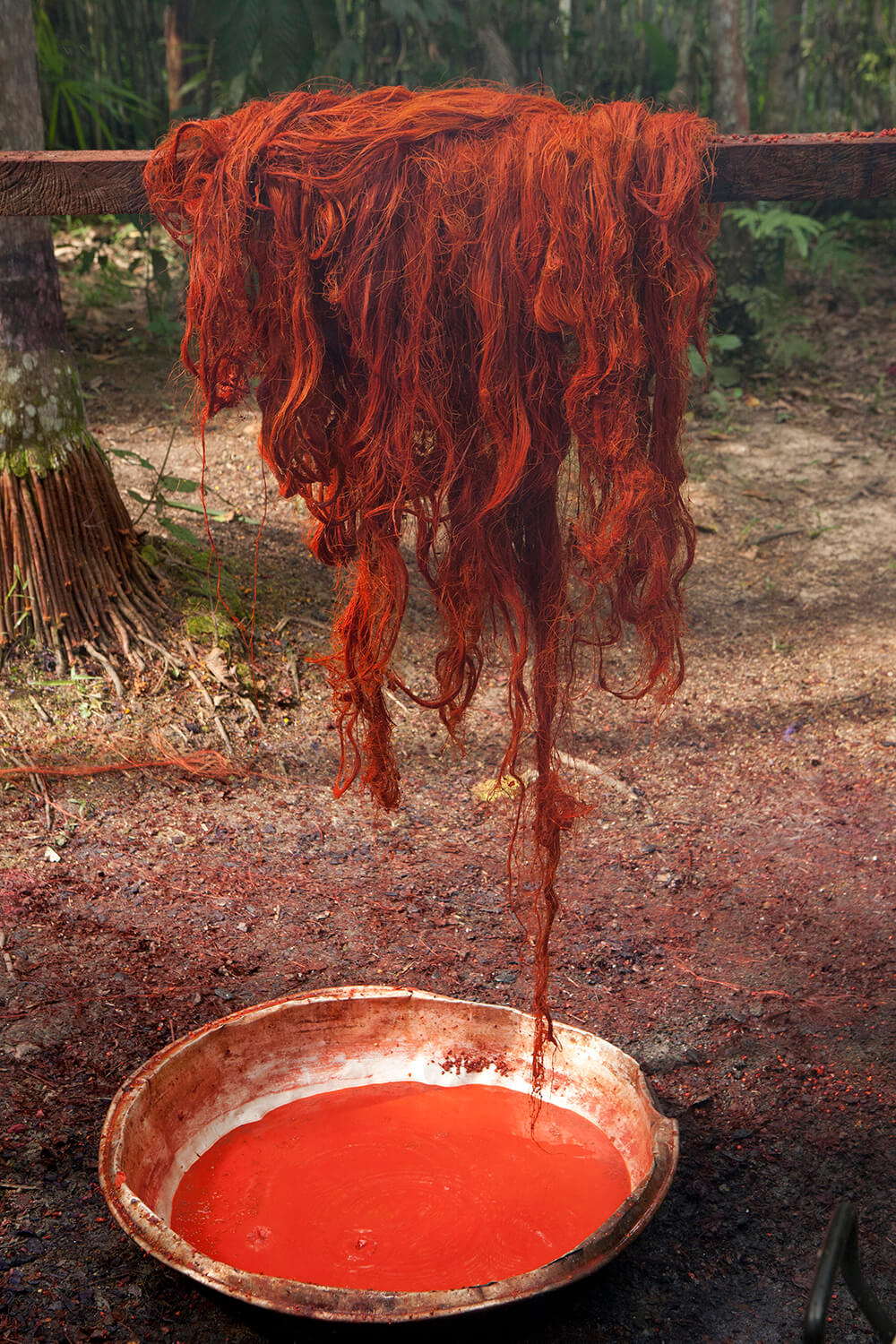 ACHIOTE 15_galeria_MG_6870 (1).jpg